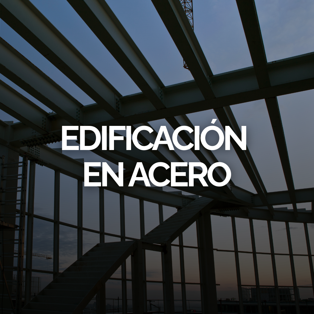 Newsletter Diciembre 2025